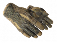★ Sport Gloves Arid